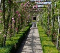 English Rose Garden